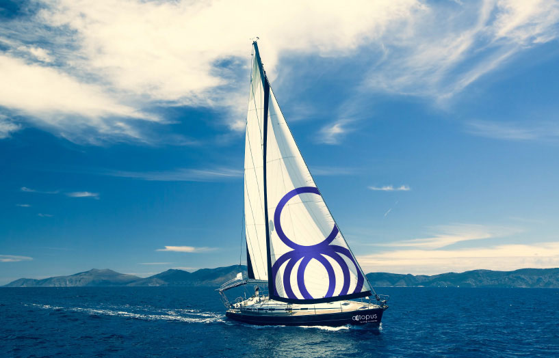 Octopus Sailing